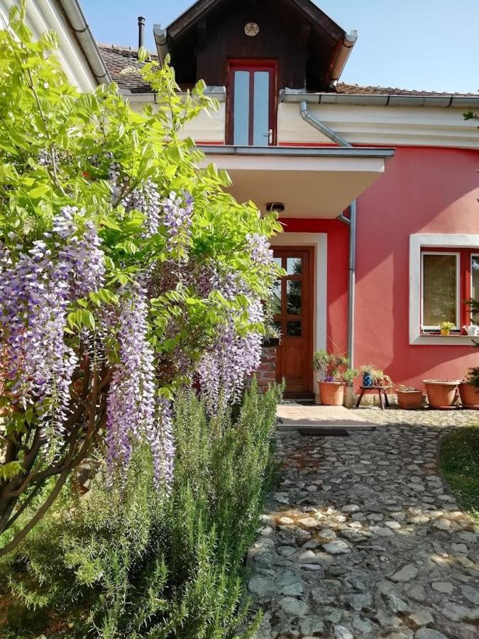 Villa Holiday Home Kuca Za Odmor Slavonka Kaptol Exterior foto